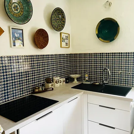 Pansiyon Chateau De La Thibaudiere - De Madame De Savary Allonnes (Maine-et-Loire)