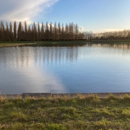 Chateau De La Thibaudiere - De Madame De Savary *